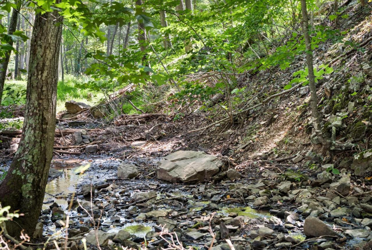 River Access W Hot Tub, Grill, Wifi, & Fire Pit! Lost City Exteriér fotografie